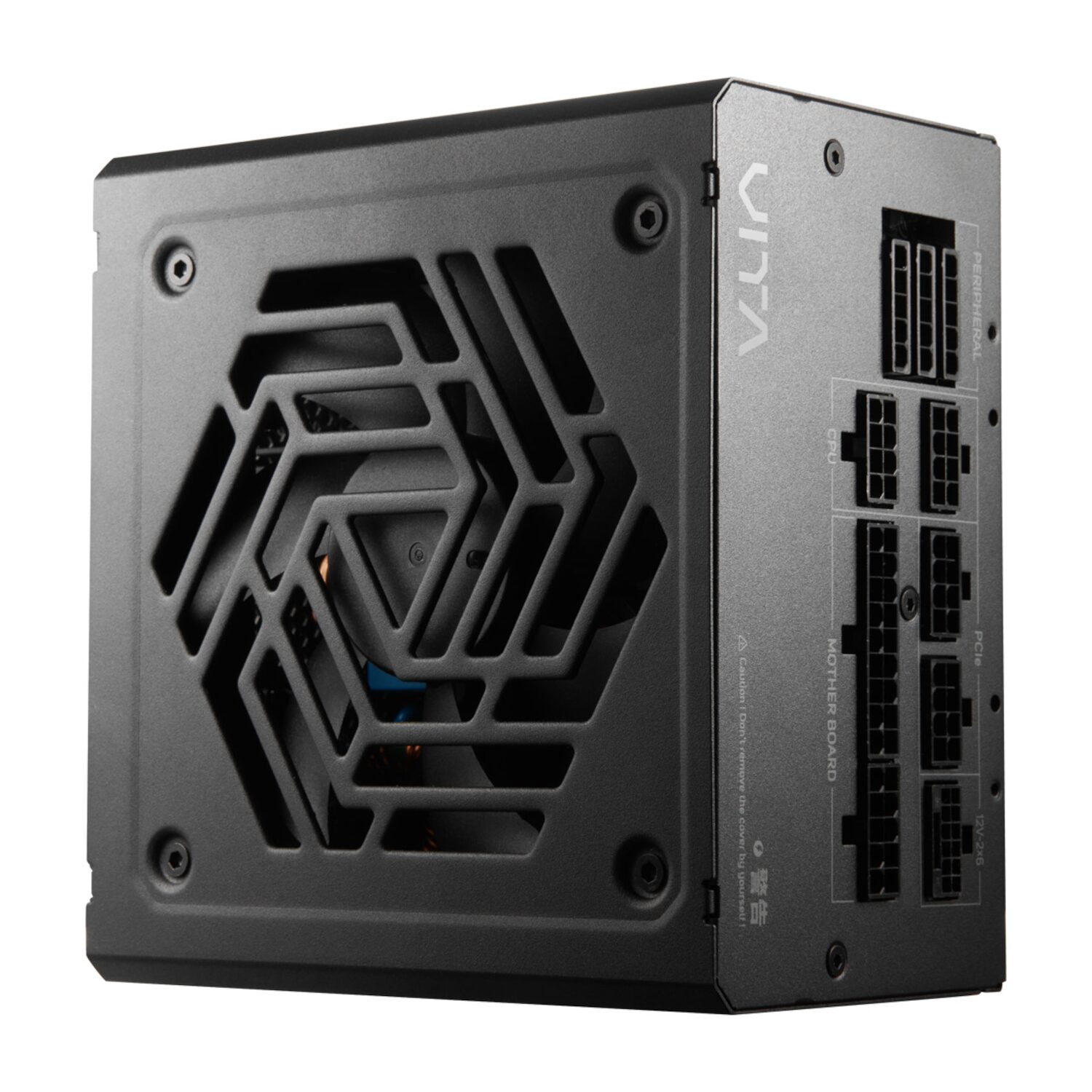 FSP VITA GM 1000W Gold Power Supply - ATX 3.1, PCIe 5.1, 80 Plus Gold